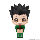 MEGAHOUSE LOOKUP HUNTER×HUNTER GON FREECSS