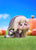 Trickcal:Chibi Go POP UP PARADE Petite Speaki