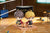 Haikyu!! Qset+ Atsumu Miya & Osamu Miya