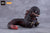 Shin Godzilla Nendoroid Godzilla (2016)