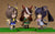 Umamusume: Pretty Derby Nendoroid Symboli Rudolf Rerelease