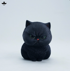 JxK.Studio - Hum X Chirp Cats : JxK363B  Black