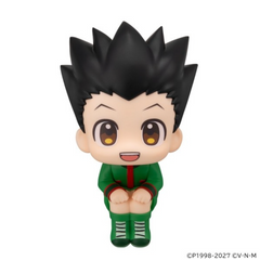 MEGAHOUSE LOOKUP HUNTER×HUNTER GON FREECSS