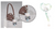 Honkai: Star Rail Nendoroid Doll Firefly: Spring Missive Ver. (With or w/o Bonus)