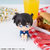 MEGAHOUSE LOOKUP DETECTIVE CONAN CONAN EDOGAWA