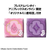 MEGAHOUSE LOOKUP PUELLA MAGI MADOKA MAGICA MADOKA KANAME & HOMURA AKEMI SET 【WITH GIFT】