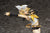 Max Factory 'Character Vocal Series 02: Kagamine Rin/Len' Kagamine Rin Tony Ver. (2628490053)