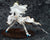 Good Smile Company 'Fate/EXTRA CCC' Saber Bride (2627660677)
