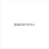 ONE PIECE Styling FLAME OF THE REVOLUTION (359078093)